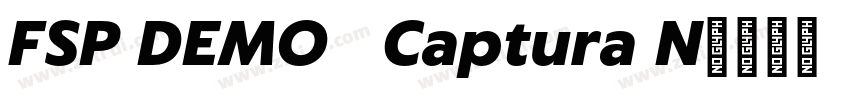 FSP DEMO   Captura N字体转换